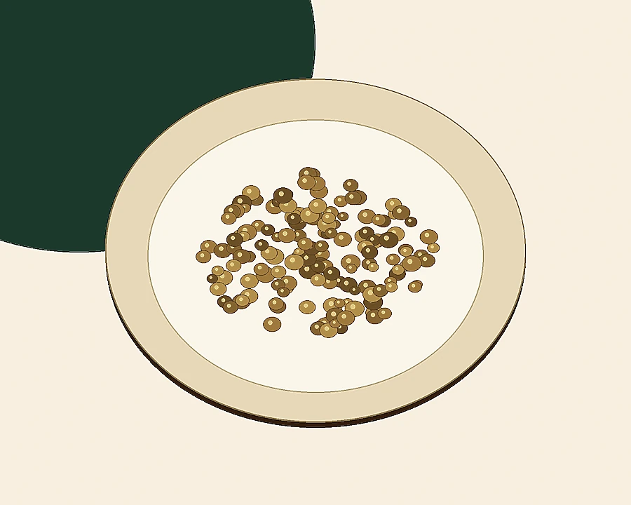 Ingrediente Lenteja para la receta MEGAGETS